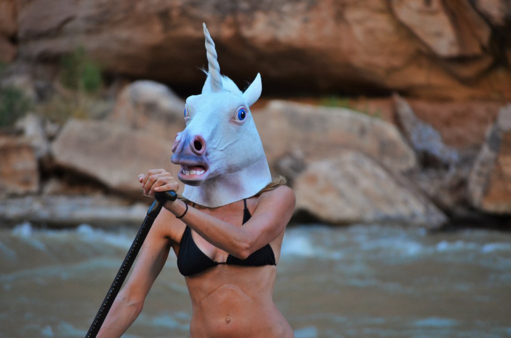 San Juan River stand up paddleboarding unicorn