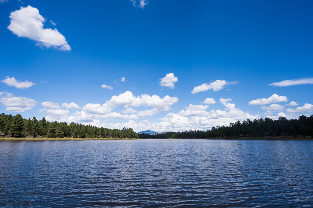 Kaibab Lake Williams, Arizona