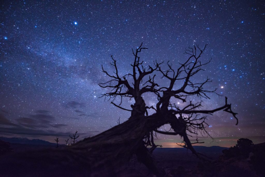 Canyonlands National Park at night